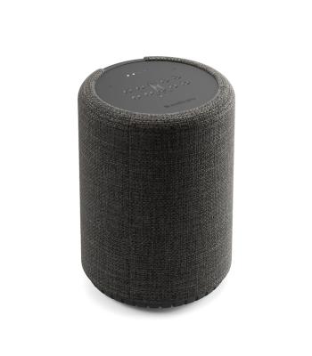 Audio Pro G10 Google Assistant Smart Speaker - EX DEMO
